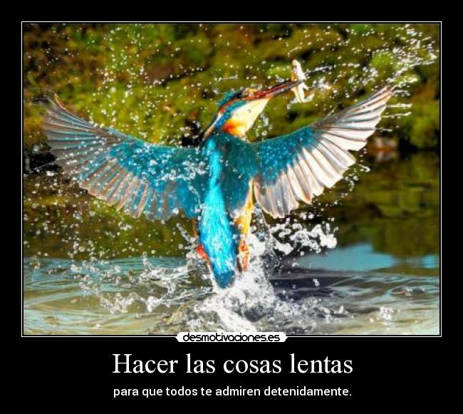 Hacer las cosas lentas - 