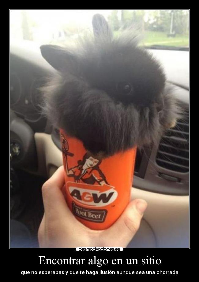 Encontrar algo en un sitio - que no esperabas y que te haga ilusión aunque sea una chorrada