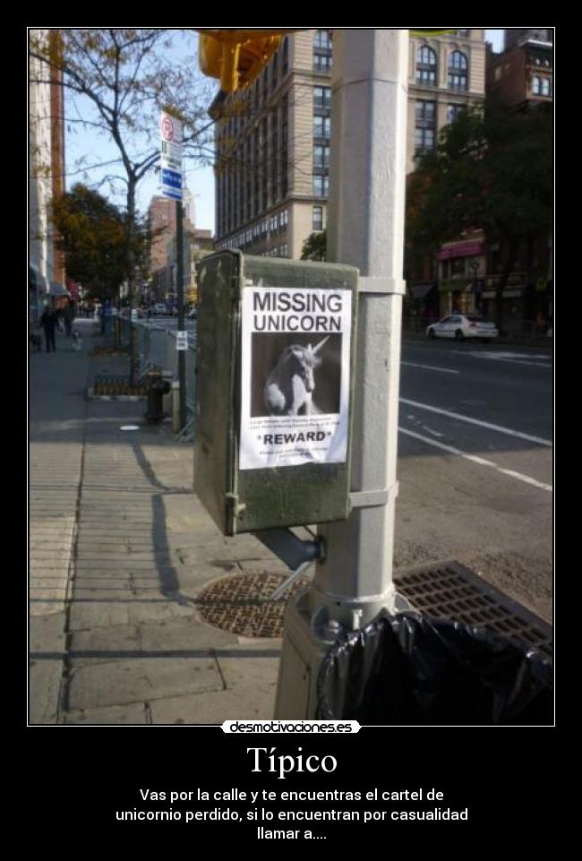 Típico - Vas por la calle y te encuentras el cartel de
unicornio perdido, si lo encuentran por casualidad
llamar a....