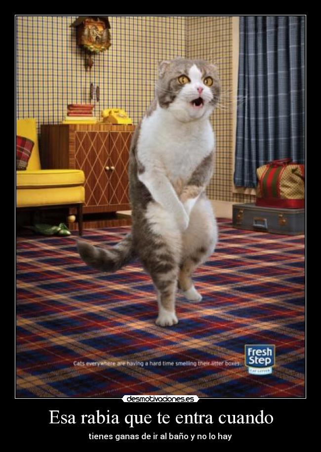 Esa rabia que te entra cuando -