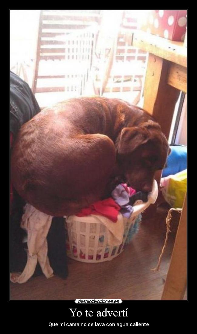 Yo te advertí - Que mi cama no se lava con agua caliente
