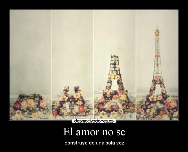 El amor no se - construye de una sola vez