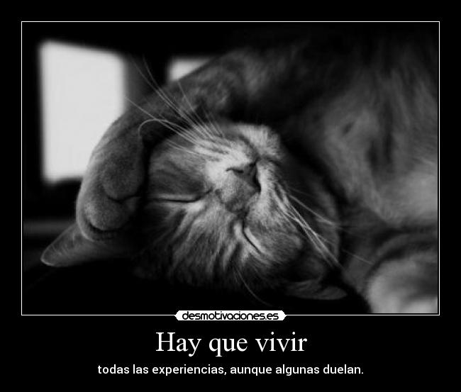 Hay que vivir - 