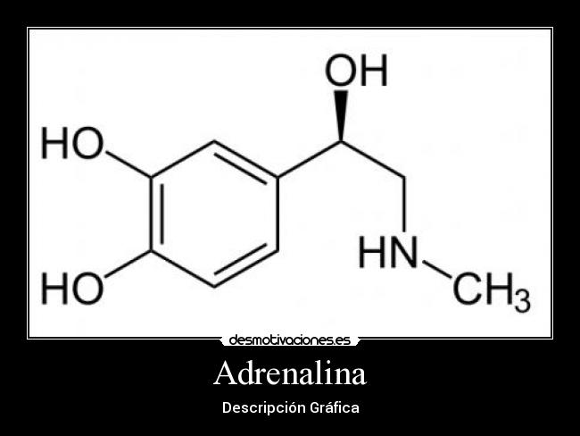 Adrenalina - Descripción Gráfica