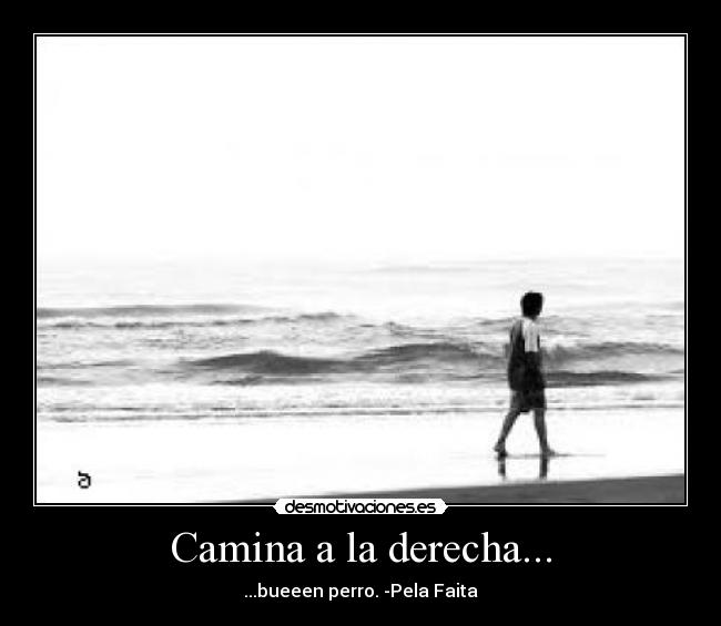 Camina a la derecha... - ...bueeen perro. -Pela Faita