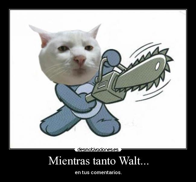 Mientras tanto Walt... - 