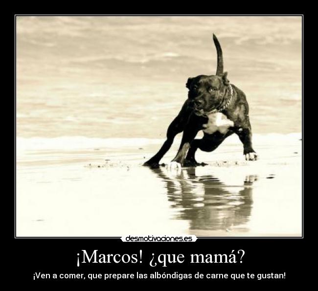 ¡Marcos! ¿que mamá? - ¡Ven a comer, que prepare las albóndigas de carne que te gustan!