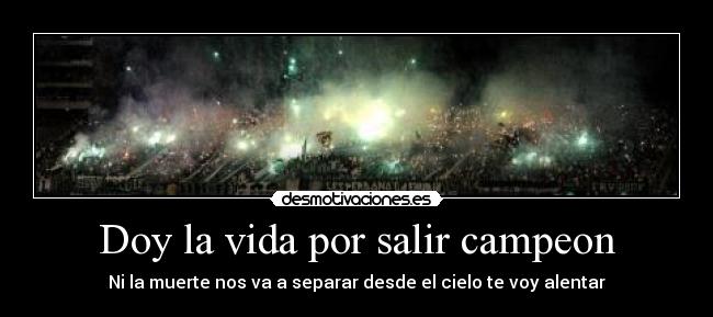 Doy la vida por salir campeon -