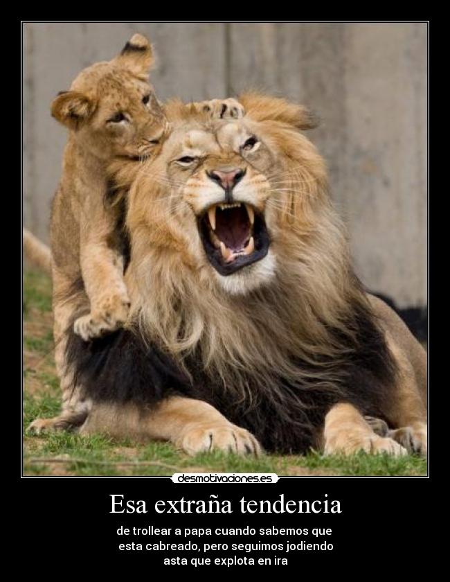 Esa extraña tendencia - de trollear a papa cuando sabemos que
esta cabreado, pero seguimos jodiendo
asta que explota en ira