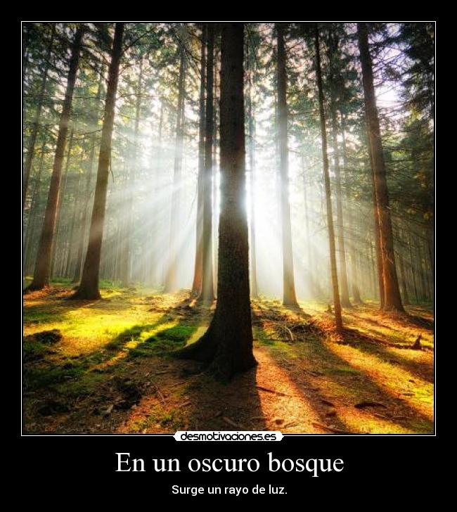 En un oscuro bosque -