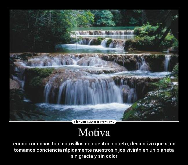 Motiva - 