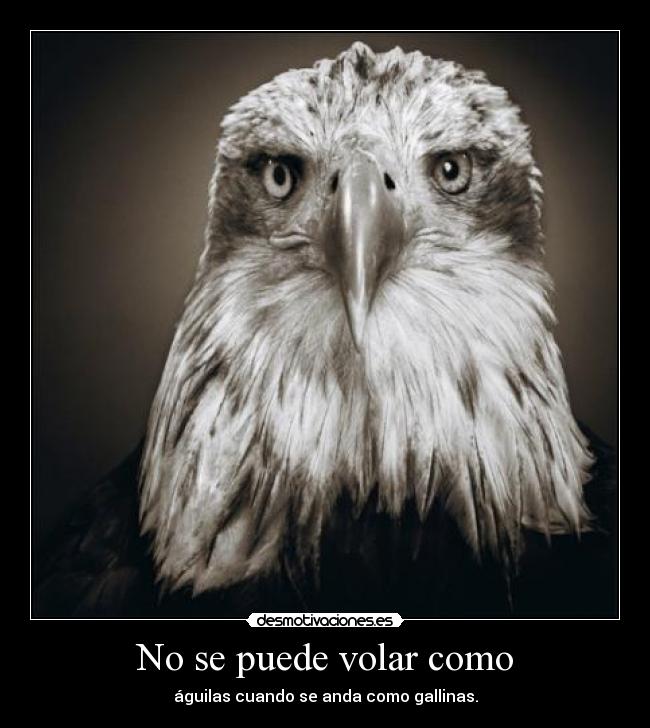 No se puede volar como - águilas cuando se anda como gallinas.
