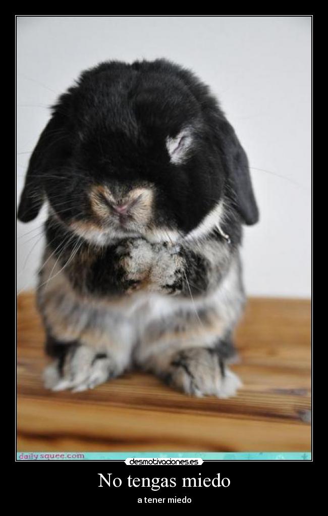 No tengas miedo - a tener miedo