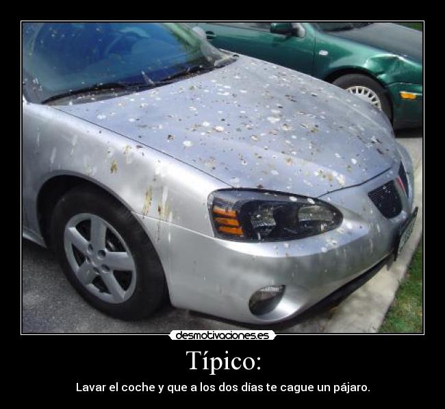 Típico: - Lavar el coche y que a los dos días te cague un pájaro.