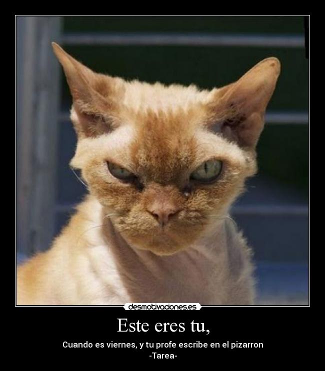 Este eres tu, - Cuando es viernes, y tu profe escribe en el pizarron
-Tarea-