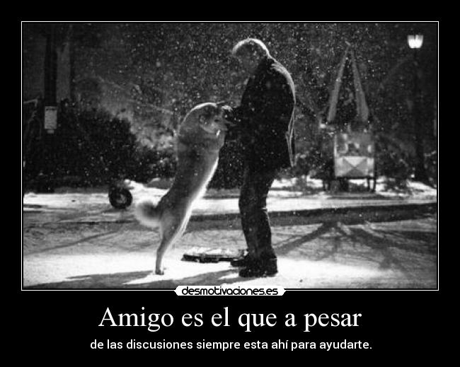 Amigo es el que a pesar -
