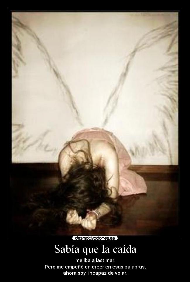 carteles volar alas caida lastimar amor desmotivaciones