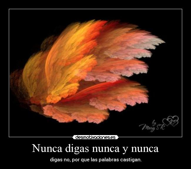 Nunca digas nunca y nunca -