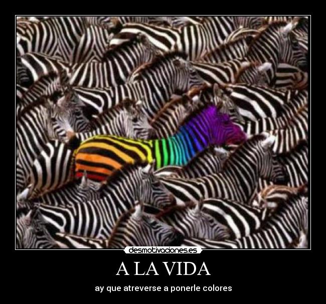 A LA VIDA - ay que atreverse a ponerle colores