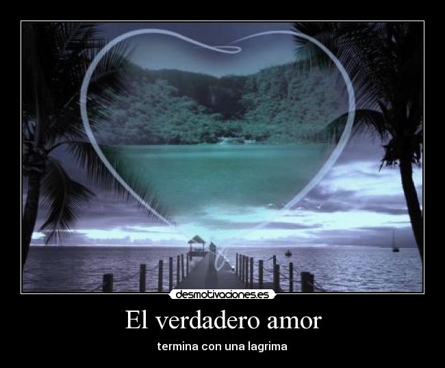 carteles amor frexa desmotivaciones