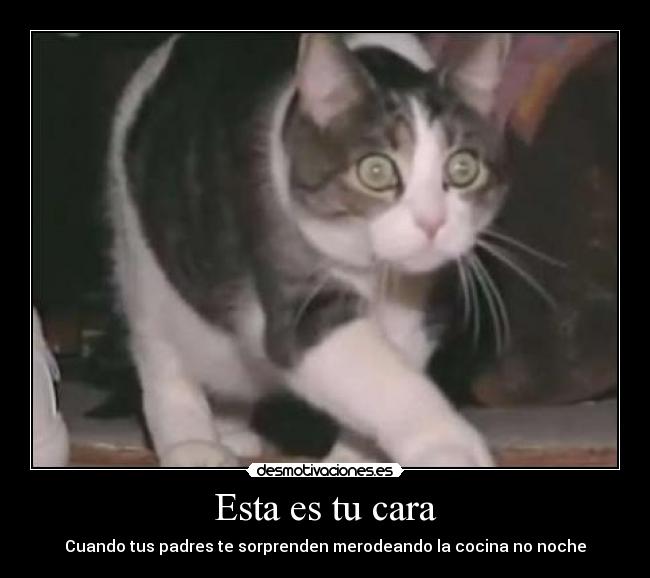 carteles esta cara desmotivaciones