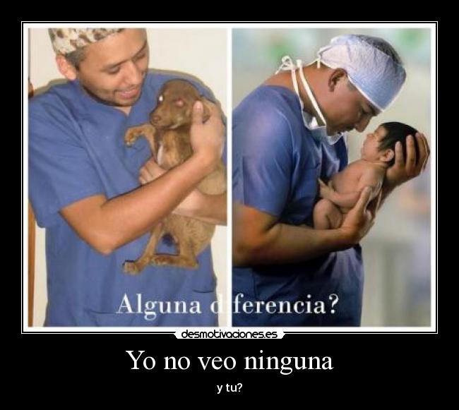 Yo no veo ninguna - 