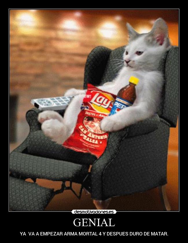 GENIAL - YA  VA A EMPEZAR ARMA MORTAL 4 Y DESPUES DURO DE MATAR.