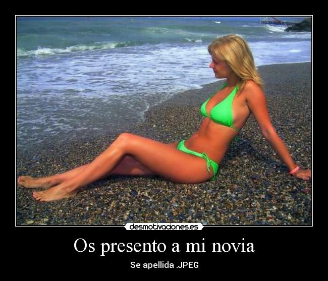 Os presento a mi novia - 