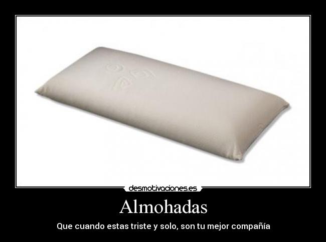 carteles almohada desmotivaciones