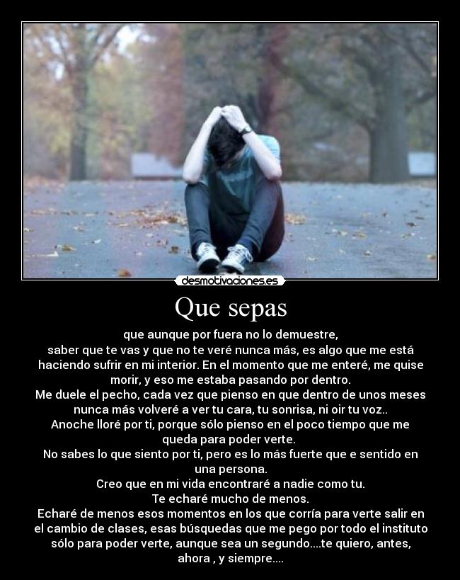 Que sepas - que aunque por fuera no lo demuestre,
saber que te vas y que no te veré nunca más, es algo que me está
haciendo sufrir en mi interior. En el momento que me enteré, me quise
morir, y eso me estaba pasando por dentro.
Me duele el pecho, cada vez que pienso en que dentro de unos meses
nunca más volveré a ver tu cara, tu sonrisa, ni oir tu voz..
Anoche lloré por ti, porque sólo pienso en el poco tiempo que me
queda para poder verte. 
No sabes lo que siento por ti, pero es lo más fuerte que e sentido en
una persona.
Creo que en mi vida encontraré a nadie como tu.
Te echaré mucho de menos.
Echaré de menos esos momentos en los que corría para verte salir en
el cambio de clases, esas búsquedas que me pego por todo el instituto
sólo para poder verte, aunque sea un segundo....te quiero, antes,
ahora , y siempre....