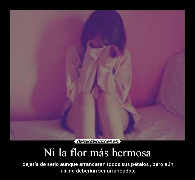 Ni la flor más hermosa -