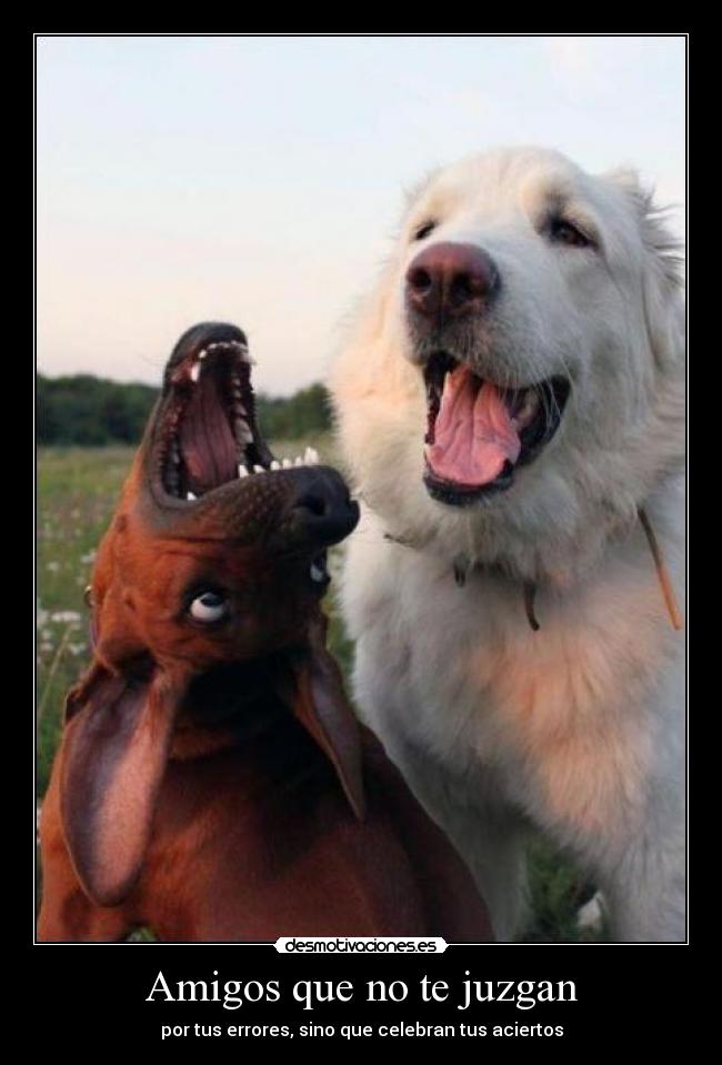 Amigos que no te juzgan - por tus errores, sino que celebran tus aciertos