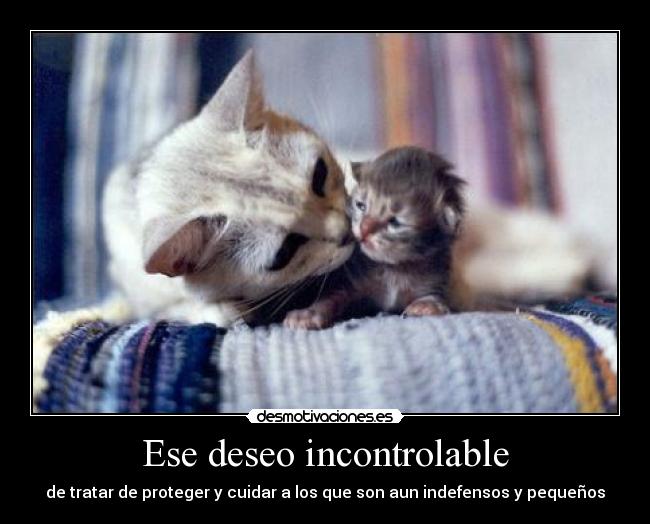 Ese deseo incontrolable - de tratar de proteger y cuidar a los que son aun indefensos y pequeños