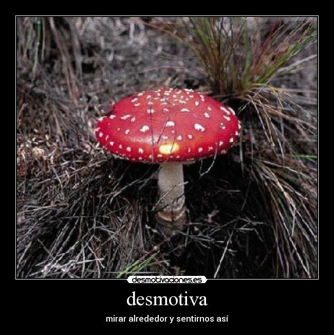 carteles triste desmotivaciones