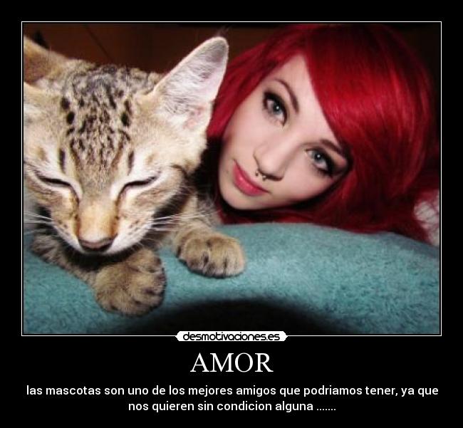 AMOR -
