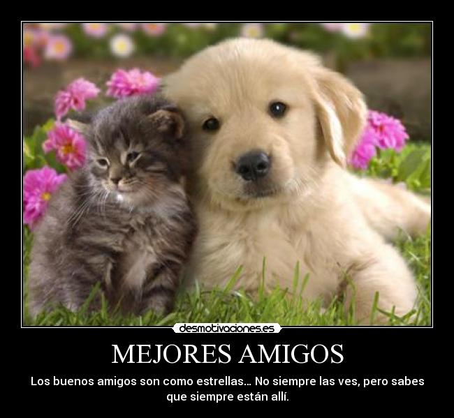 MEJORES AMIGOS - Los buenos amigos son como estrellas… No siempre las ves, pero sabes
que siempre están allí.