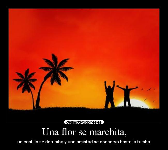 Una flor se marchita, - un castillo se derumba y una amistad se conserva hasta la tumba.