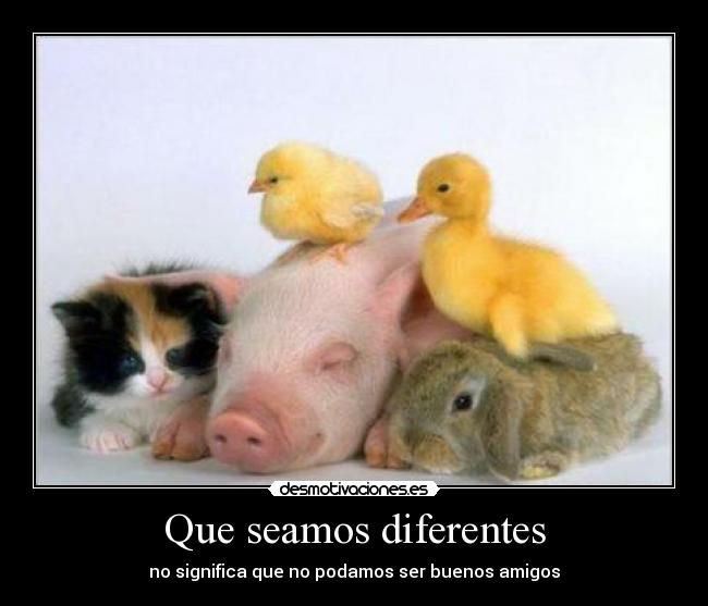 Que seamos diferentes - no significa que no podamos ser buenos amigos
