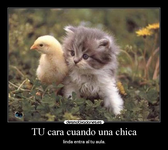 TU cara cuando una chica - linda entra al tu aula.