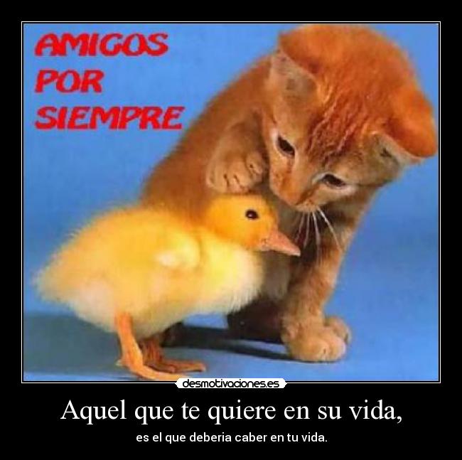 Aquel que te quiere en su vida, -