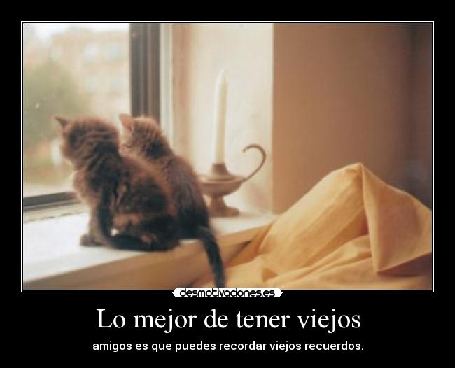 Lo mejor de tener viejos - amigos es que puedes recordar viejos recuerdos.