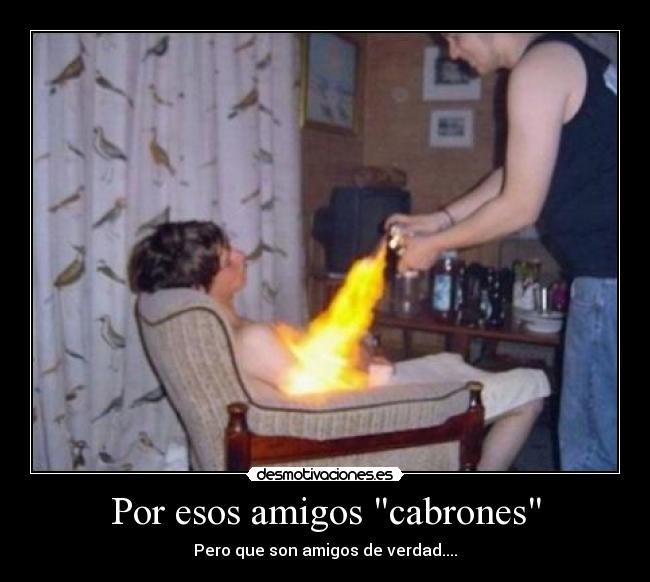 carteles amigos personas desmotivaciones