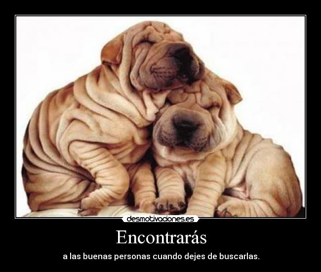 Encontrarás - a las buenas personas cuando dejes de buscarlas.