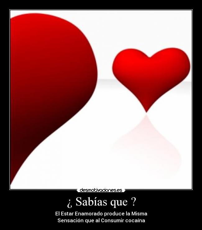 ¿ Sabías que ? - El Estar Enamorado produce la Misma
Sensación que al Consumir cocaína