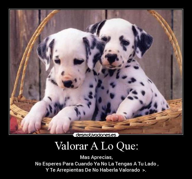 Valorar A Lo Que: - Mas Aprecias,
 No Esperes Para Cuando Ya No La Tengas A Tu Lado ,
Y Te Arrepientas De No Haberla Valorado  >.