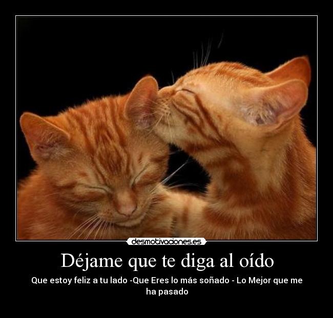 carteles rose core safyro droxa jotika desmotivaciones