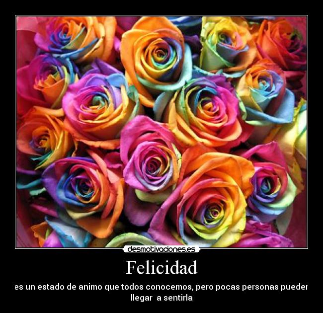 Felicidad - 