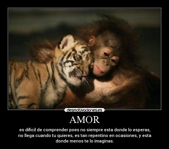 AMOR - es dificil de comprender poes no siempre esta donde lo esperas,
no llega cuando tu quieres, es tan repentino en ocasiones, y esta
donde menos te lo imaginas.