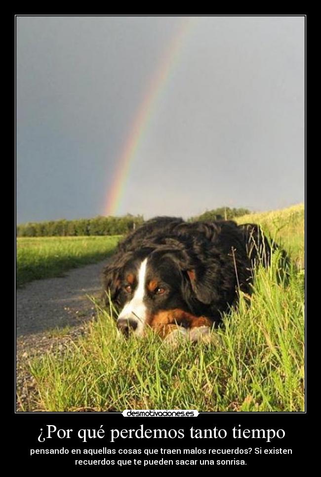 carteles fanyavril desmotivaciones