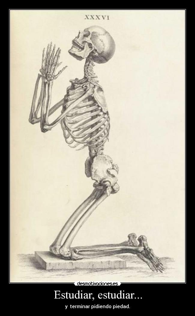 carteles medicina desmotivaciones